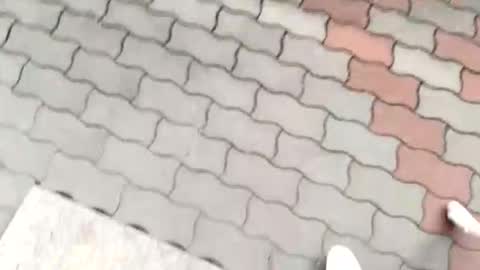 Snapshot of moos1 chatting on September 2025 12:16:02 PM moos1 online show from September 2025 12:16:02 PM