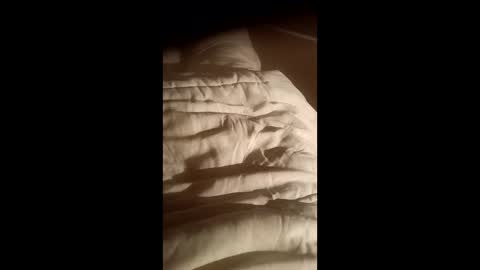 Snapshot of moos1 chatting on October 2025 07:03:02 PM moos1 online show from October 2025 07:03:02 PM