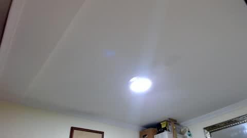 Abelardo online show from September 2025 01:08:02 AM