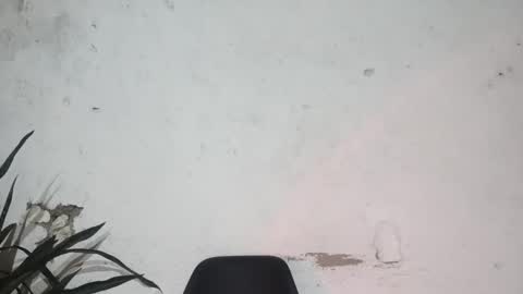 John john online show from February 2025 06:27:02 AM