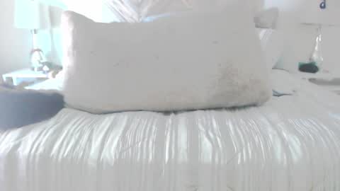 Snapshot of moreofthis chatting on March 2026 05:20:01 PM Didier online show from March 2026 05:20:01 PM