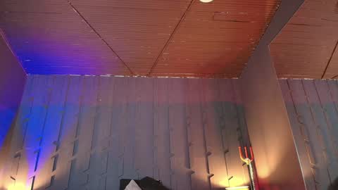 Morgana online show from January 2025 01:29:01 AM