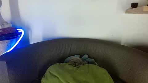 Snapshot of morgann_jones chatting on October 2025 03:53:02 AM morgan online show from October 2025 03:53:02 AM