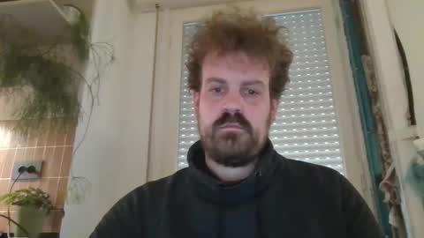 morritz online show from February 2025 12:08:01 PM