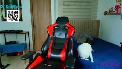 Snapshot of morthy_downey chatting on March 2025 05:05:01 PM Morthy online show from March 2025 05:05:01 PM