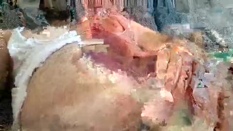 Snapshot of mosta977 chatting on November 2025 12:05:02 PM Arab boy online show from November 2025 12:05:02 PM