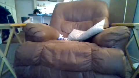 Snapshot of motodub chatting on March 2025 04:00:02 PM motodub online show from March 2025 04:00:02 PM