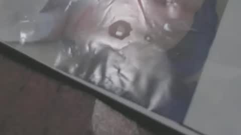 Snapshot of mowfbreever chatting on October 2025 05:57:02 PM mowfbreever online show from October 2025 05:57:02 PM