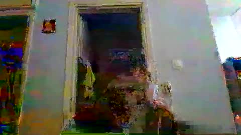 mppempis81 online show from January 2026 06:44:02 PM