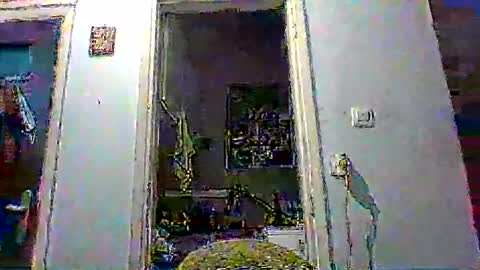 mppempis81 online show from January 2026 03:58:01 PM