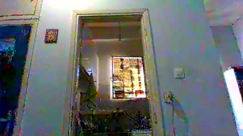 mppempis81 online show from February 2026 06:40:02 AM