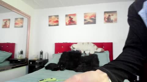 Snapshot of mr_andresr chatting on December 2024 04:50:01 PM Andy online show from December 2024 04:50:01 PM