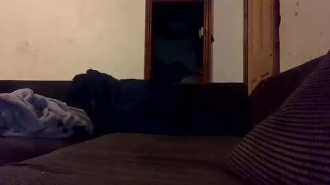 mr_big1983 online show from December 2024 01:58:02 AM