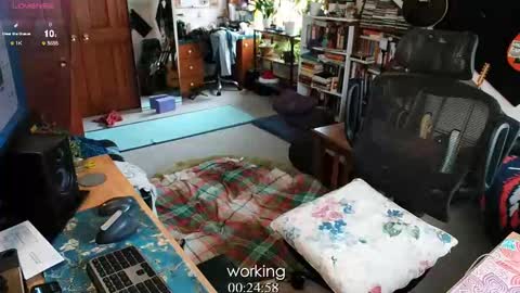 ninko online show from February 2025 08:34:02 PM