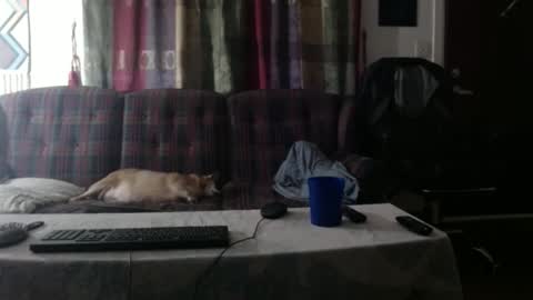 mr_happy12 online show from September 2025 01:19:02 AM