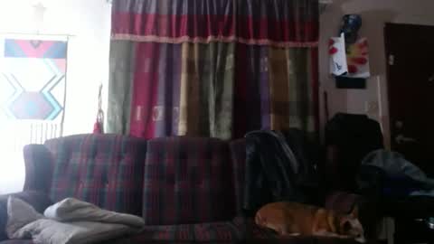 mr_happy12 online show from November 2025 11:49:02 PM