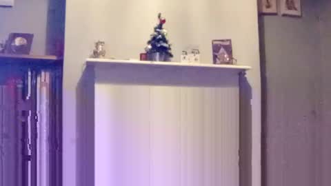 Snapshot of mr_i_ chatting on December 2024 08:10:02 PM mr_i_ online show from December 2024 08:10:02 PM