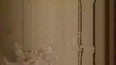 Snapshot of mr_i_ chatting on February 2025 11:03:01 PM mr_i_ online show from February 2025 11:03:01 PM