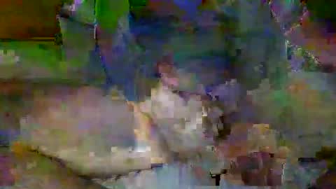 Mr-E online show from April 2026 02:09:02 AM