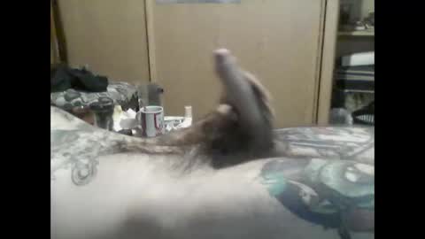 mrfumao online show from June 2026 06:14:02 AM