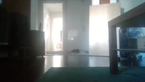 Snapshot of mrhandsomelovee chatting on February 2026 09:23:01 AM Nikola online show from February 2026 09:23:01 AM