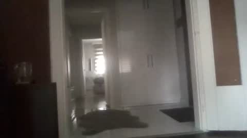 Snapshot of mrhandsomelovee chatting on March 2026 06:42:02 AM Nikola online show from March 2026 06:42:02 AM