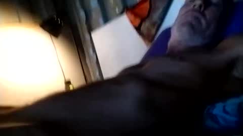 mrhotcock7inch online show from December 2024 02:08:02 AM