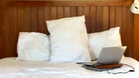 Max online show from June 2026 06:47:02 AM