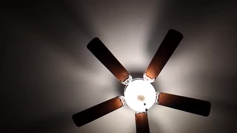 Snapshot of mrorange50187 chatting on December 2024 10:21:01 PM mrorange50187 online show from December 2024 10:21:01 PM