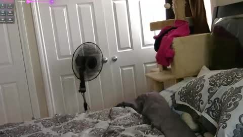 MrsJess online show from November 2025 06:03:02 PM