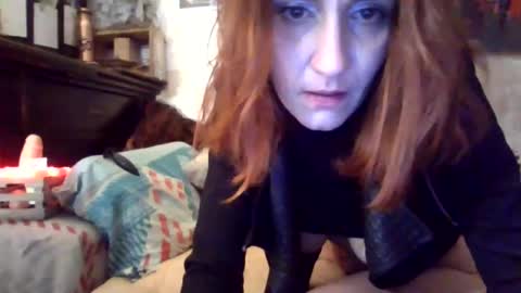 warningdreams online show from December 2024 03:29:02 AM