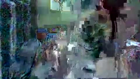 LEXIE online show from December 2025 02:11:01 PM