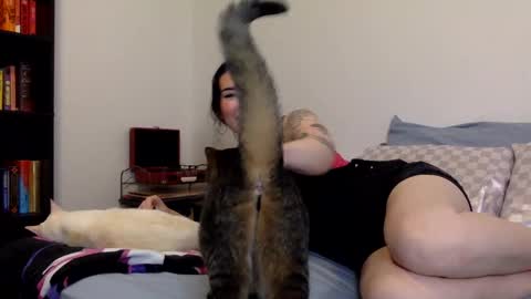 Snapshot of msrubyhayes chatting on December 2024 03:13:02 AM Ruby online show from December 2024 03:13:02 AM