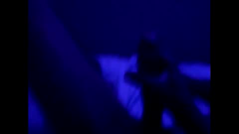 mt220 online show from December 2024 09:57:02 AM