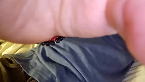 Snapshot of mtnclimber1 chatting on November 2025 10:54:01 PM mtnclimber1 online show from November 2025 10:54:01 PM