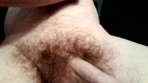 muaddib49 online show from January 2026 08:23:01 PM