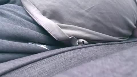 mucker13 online show from November 2025 01:21:02 PM