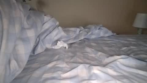 Laly online show from January 2025 08:03:01 AM