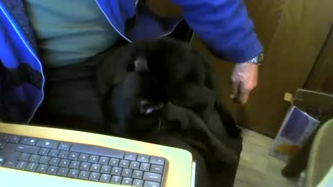 muller520 online show from January 2025 10:19:01 AM