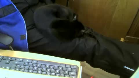 muller520 online show from January 2025 02:35:01 PM