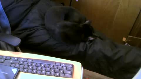 muller520 online show from January 2025 06:06:01 PM