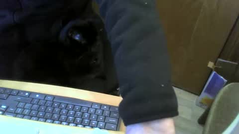 muller520 online show from January 2025 04:02:01 PM