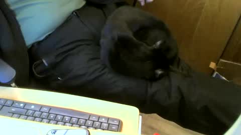 muller520 online show from January 2025 07:03:01 PM