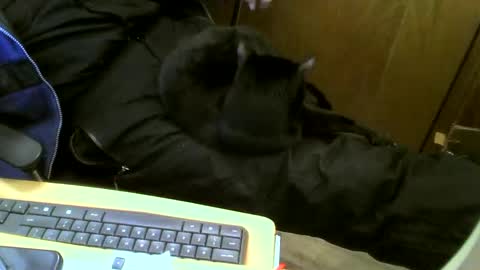 muller520 online show from February 2025 04:55:01 PM