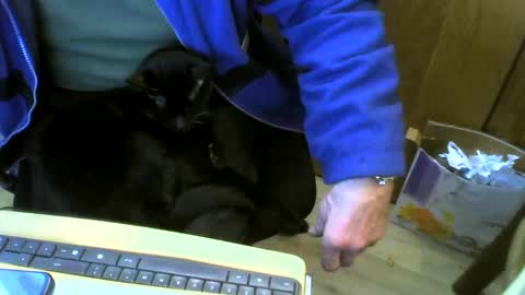 muller520 online show from February 2025 11:13:02 AM