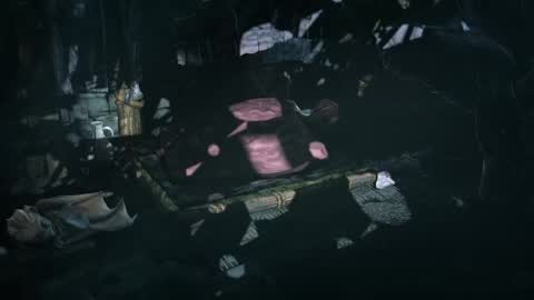 multitest101 online show from March 2026 07:42:01 PM