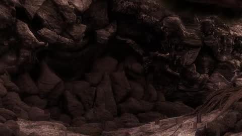 multitest101 online show from March 2026 06:55:01 PM