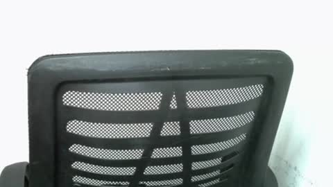 muscle_queen0 online show from February 2026 06:42:01 AM