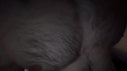 Snapshot of musclehair3 chatting on February 2025 09:53:02 PM musclehair3 online show from February 2025 09:53:02 PM