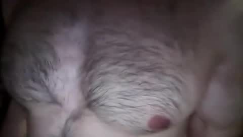 Snapshot of musclehair3 chatting on February 2025 08:22:02 PM musclehair3 online show from February 2025 08:22:02 PM